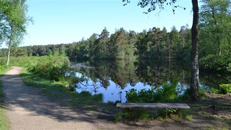 vejlbo mose|Rundt om Vejlbo mose, Almindsø og Vejlsø